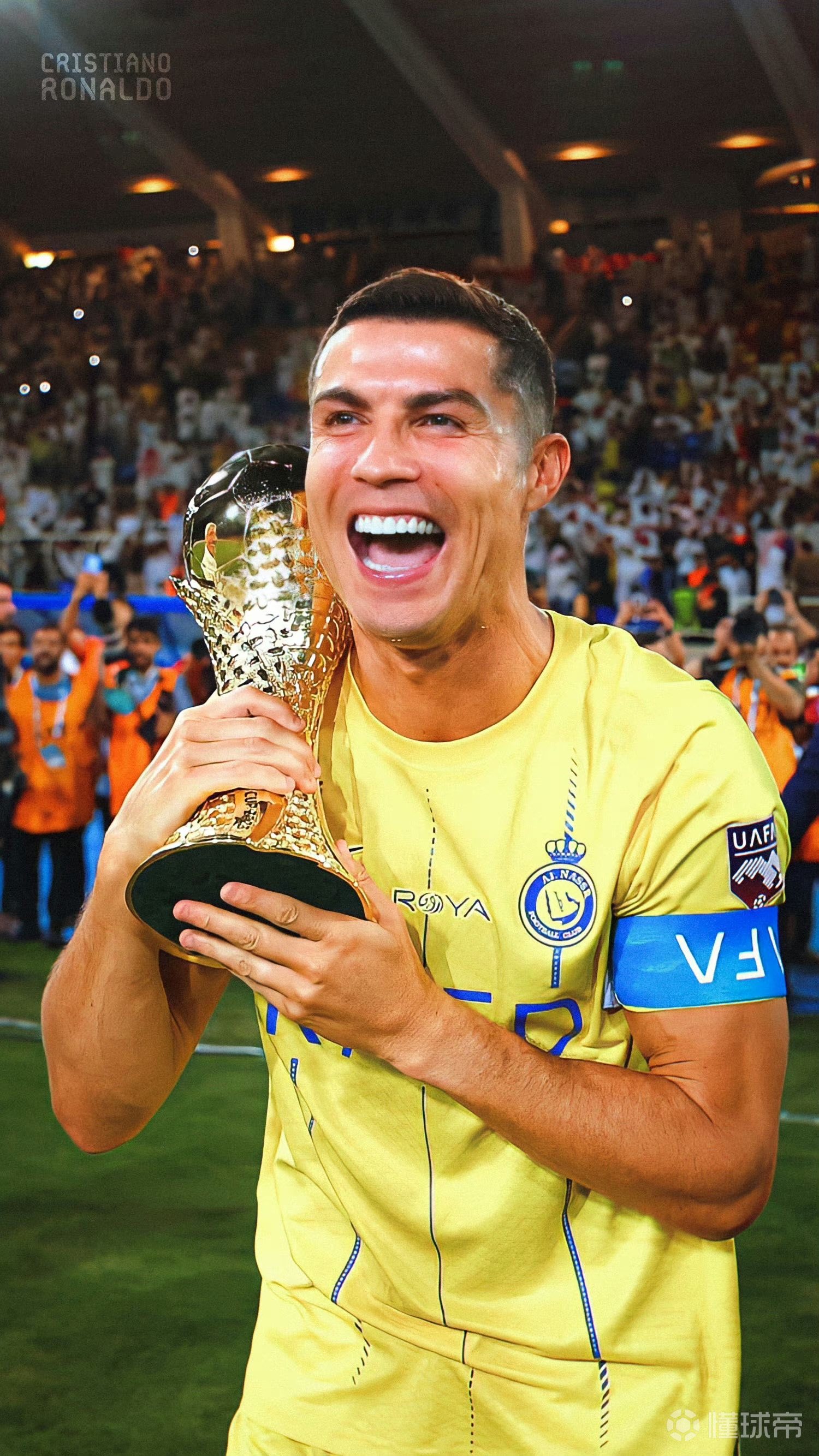 精细限定 精细限定